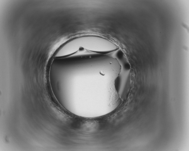 X0000095910248200802011157