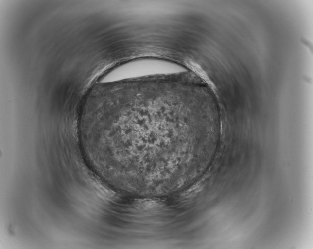 X0000095910249200802011157