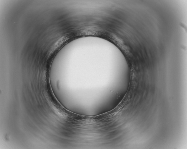 X0000095910250200802011157