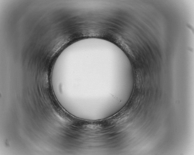 X0000095910251200802011157