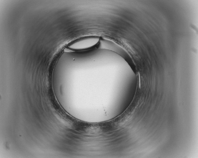 X0000095910252200802011157