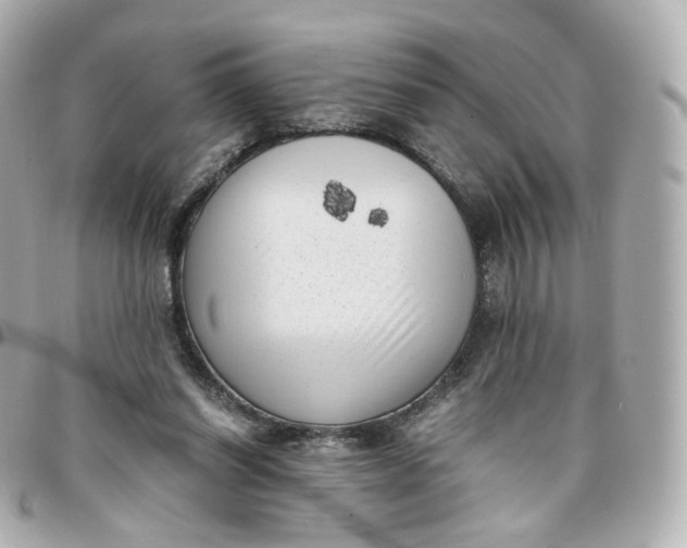 X0000095910254200802011157