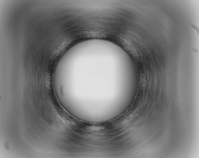 X0000095910255200802011157