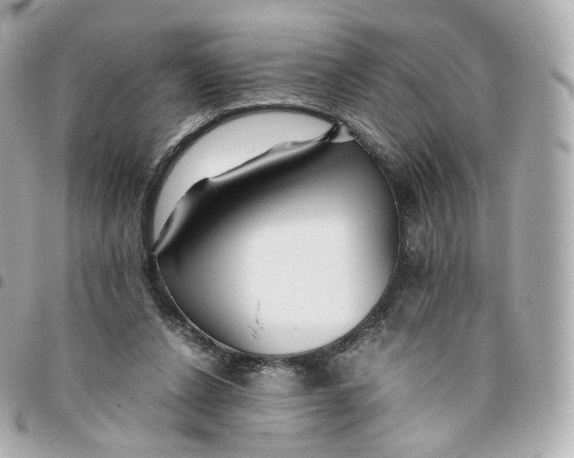 X0000095910256200802011157