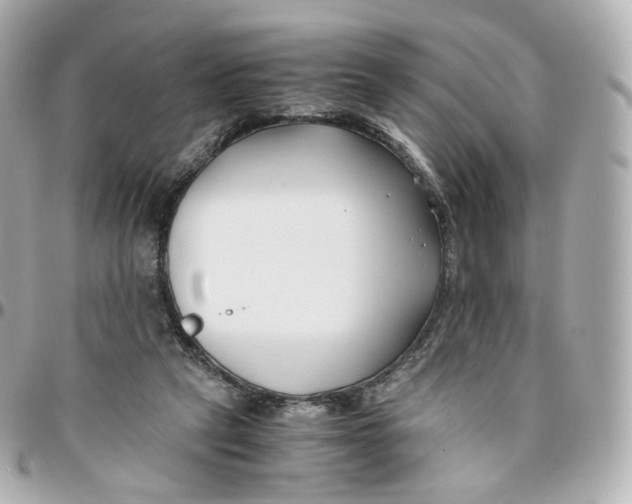 X0000095910257200802011157