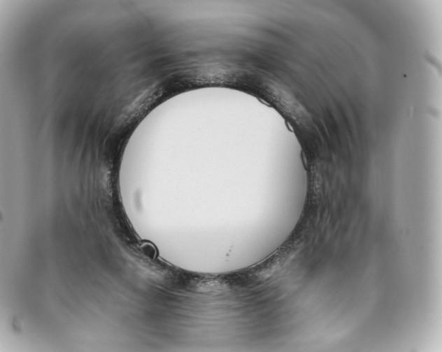 X0000095910258200802011157