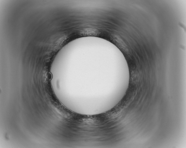 X0000095910259200802011157