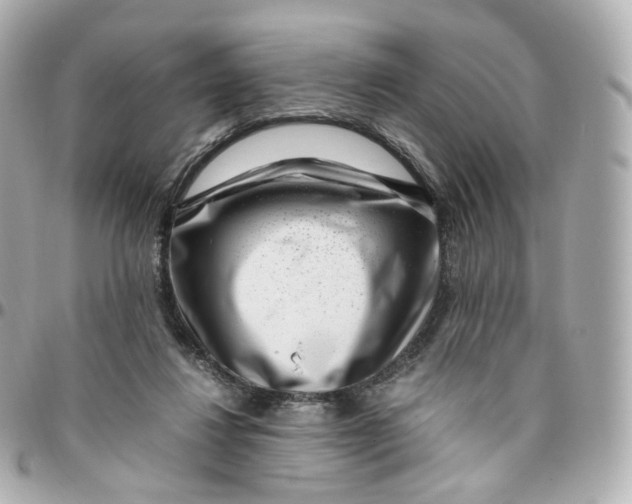 X0000095910260200802011157