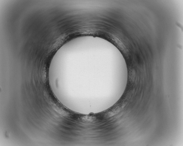 X0000095910261200802011157