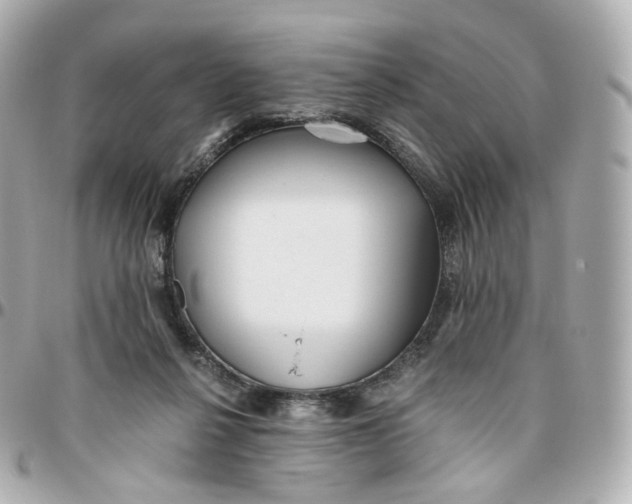 X0000095910264200802011157