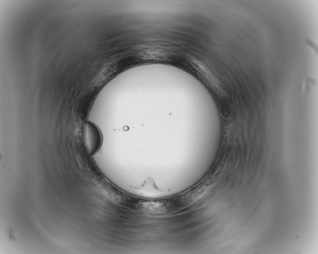 X0000095910265200802011157