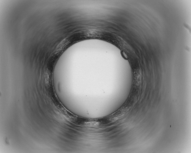 X0000095910266200802011157