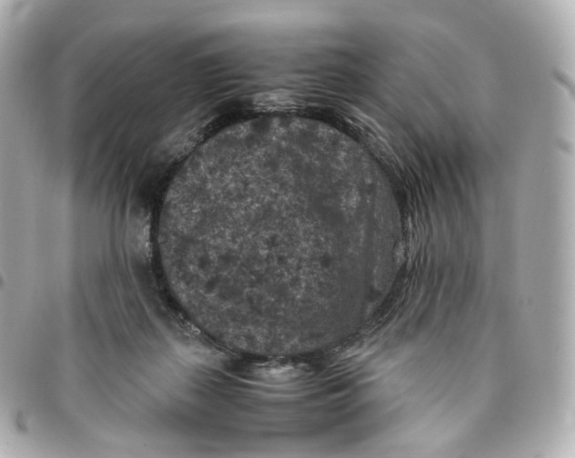 X0000095910267200802011157