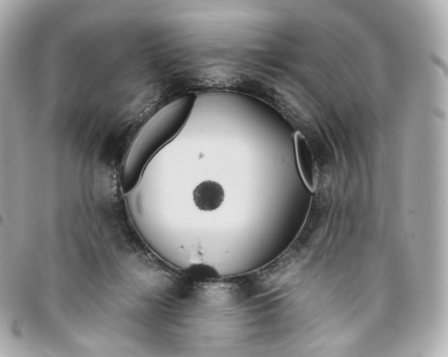 X0000095910268200802011157