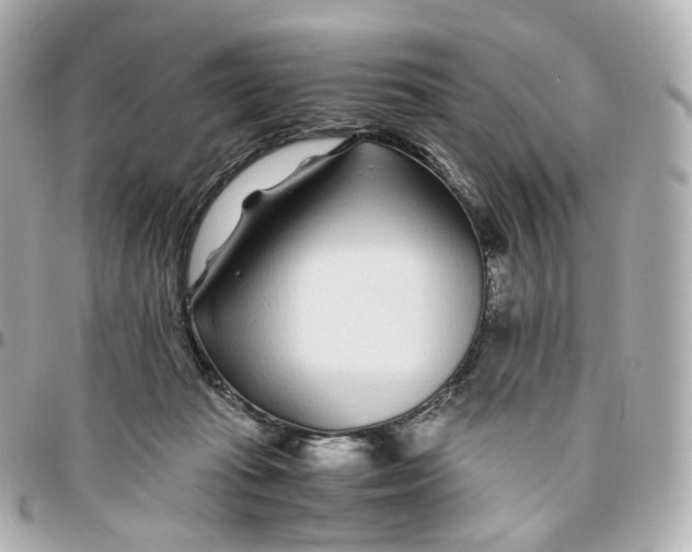 X0000095910269200802011157