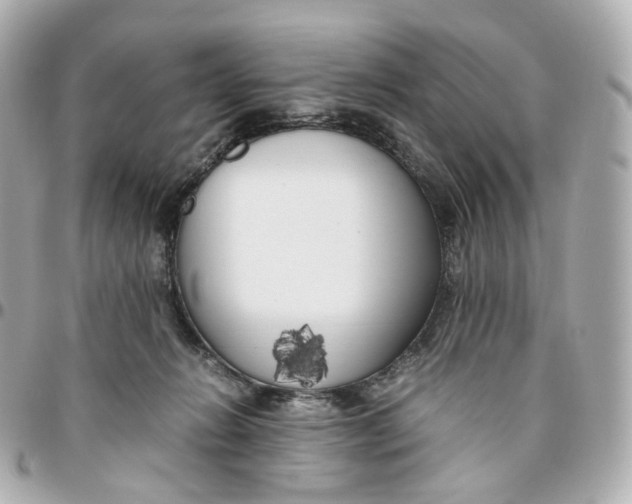 X0000095910270200802011157