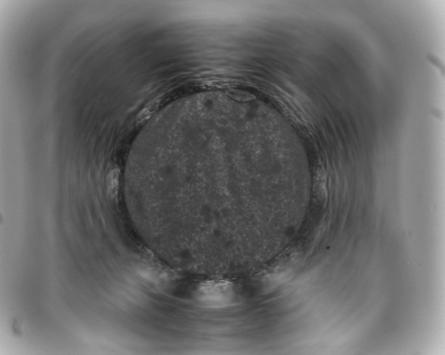 X0000095910271200802011157