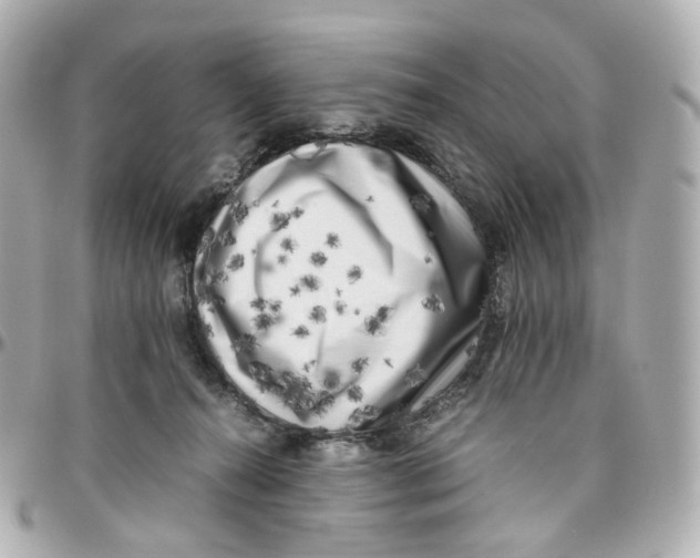 X0000095910272200802011157