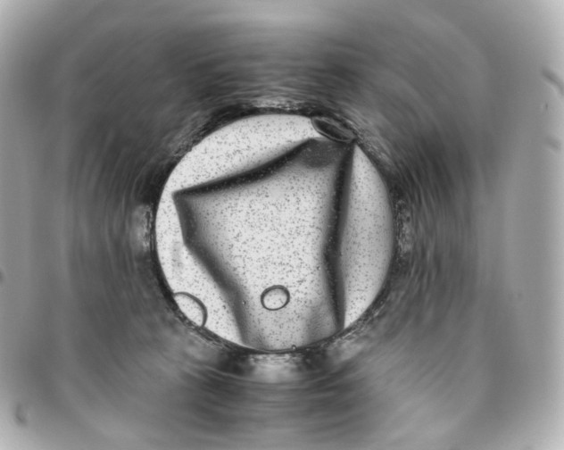 X0000095910273200802011157