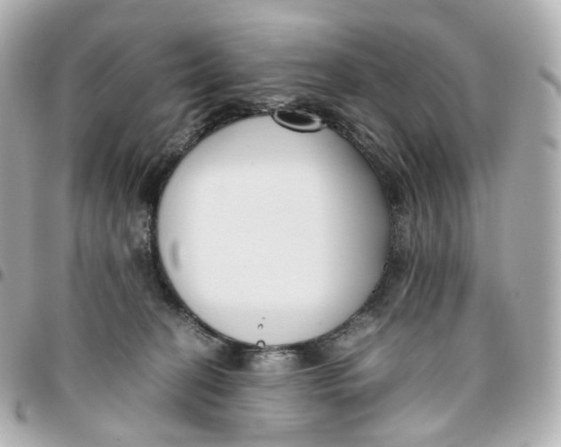 X0000095910274200802011157