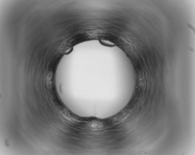 X0000095910275200802011157