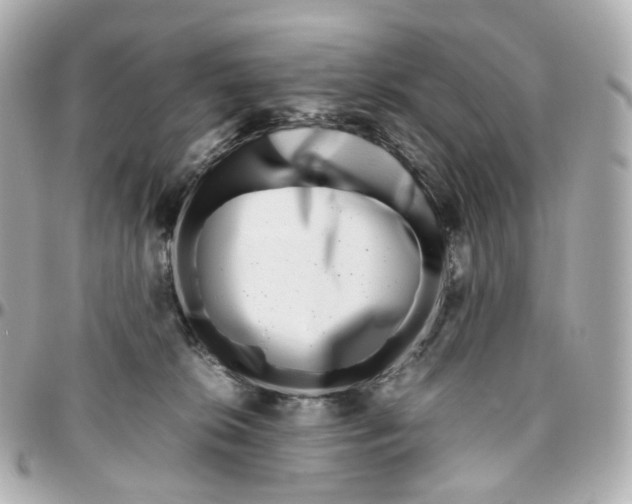 X0000095910276200802011157