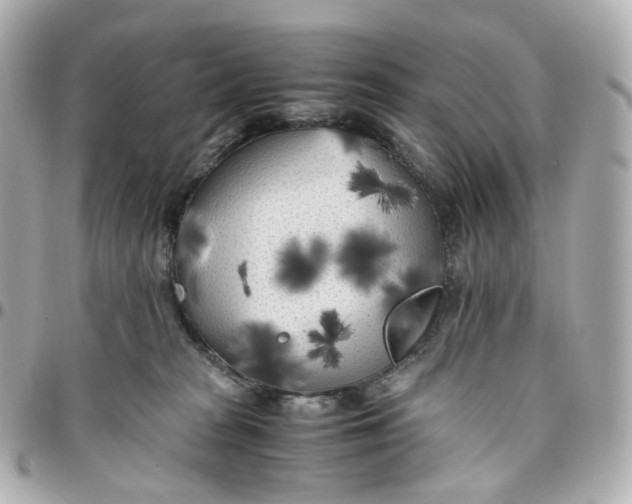 X0000095910277200802011157