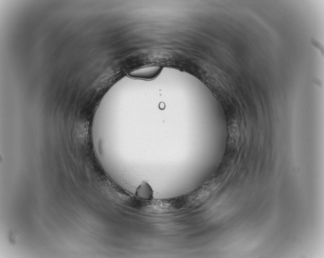 X0000095910278200802011157