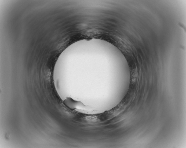 X0000095910279200802011157