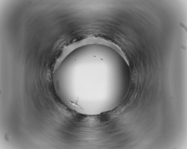 X0000095910280200802011157