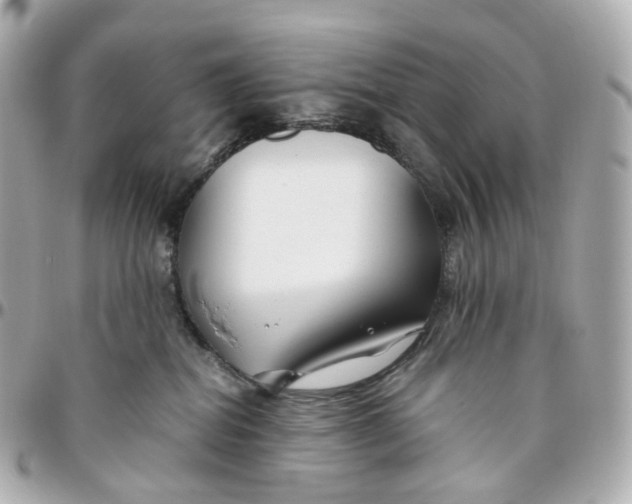 X0000095910282200802011157