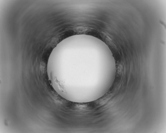 X0000095910283200802011157