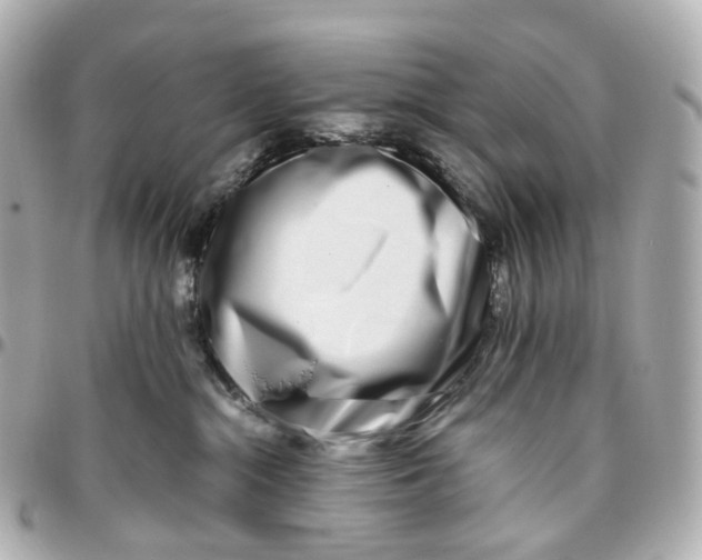 X0000095910284200802011157