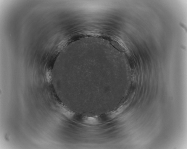 X0000095910285200802011157