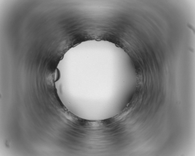 X0000095910286200802011157