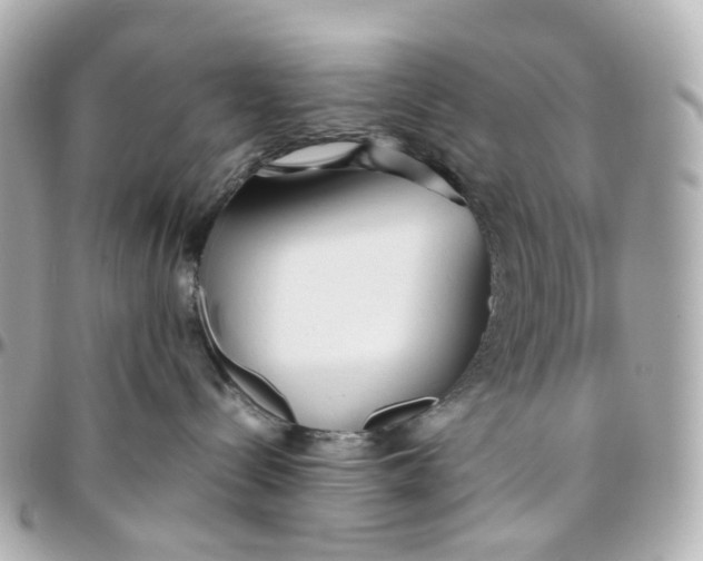 X0000095910288200802011157