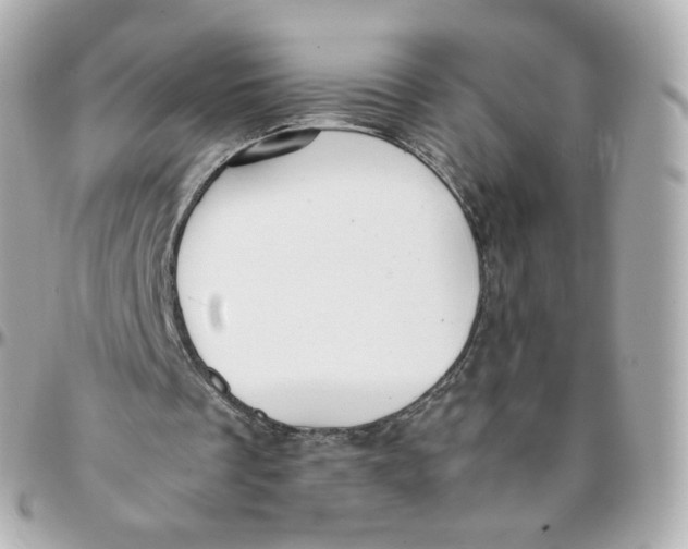 X0000095910289200802011157