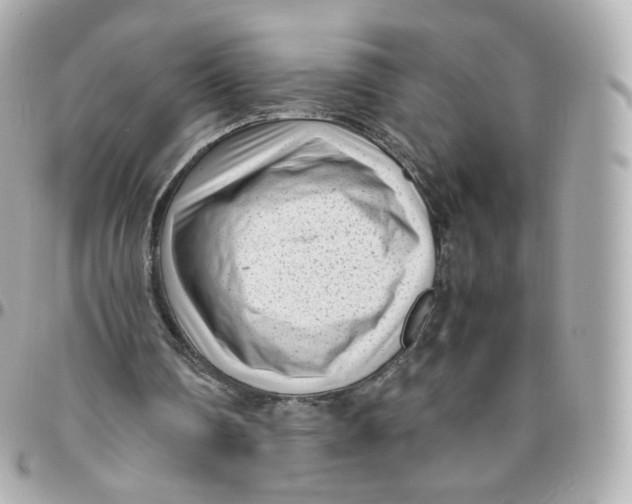 X0000095910290200802011157