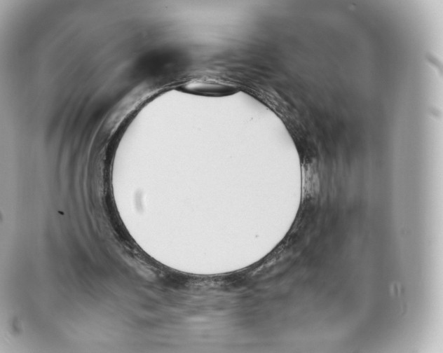 X0000095910291200802011157