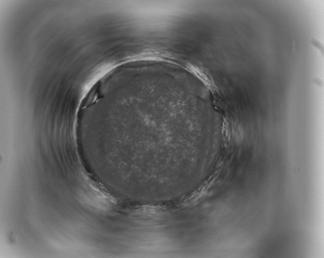 X0000095910292200802011157