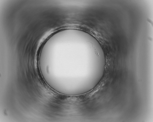 X0000095910294200802011157