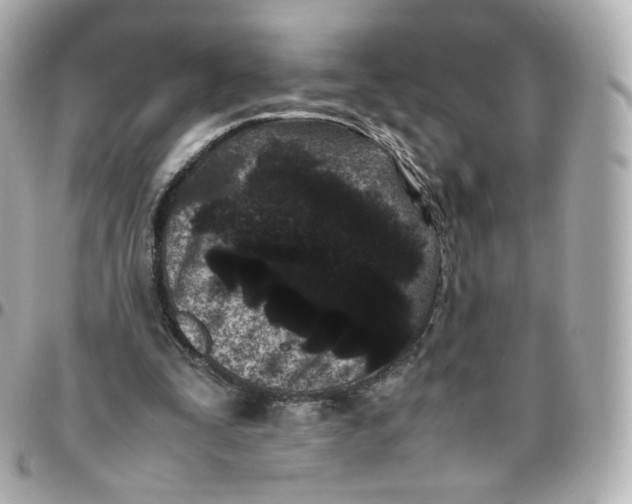 X0000095910295200802011157