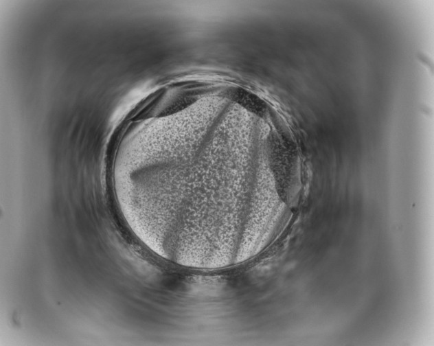 X0000095910296200802011157