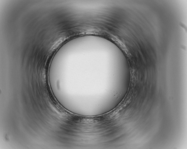 X0000095910298200802011157