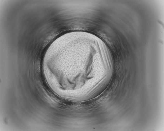 X0000095910299200802011157