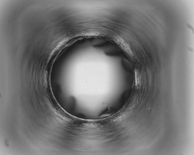 X0000095910300200802011156