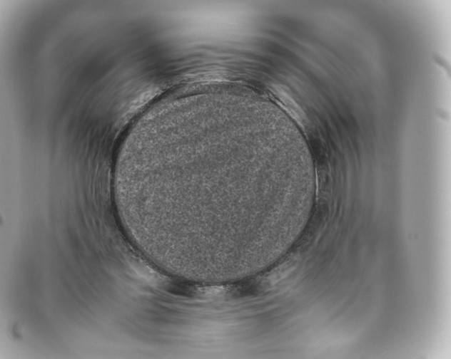 X0000095910301200802011156