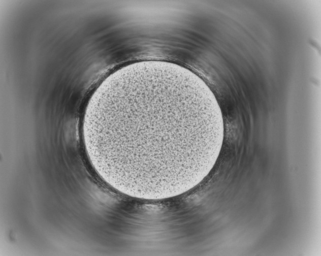 X0000095910302200802011156