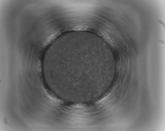 X0000095910303200802011156