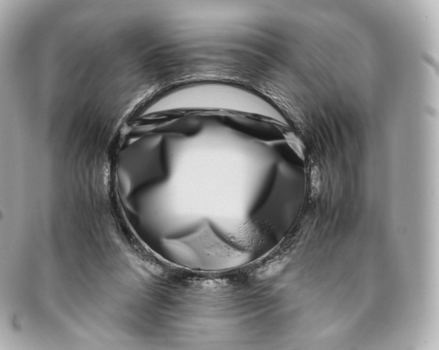 X0000095910304200802011156